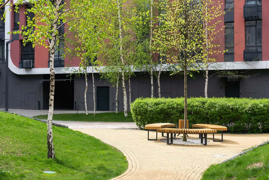 Modern outdoor bench seating area with wooden benches arranged in a circle around a young tree, surrounded by well-maintained greenery in an urban residential complex.