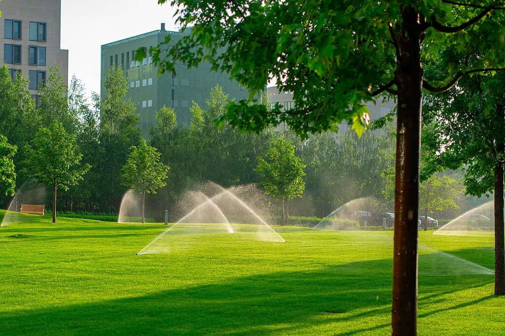 Lush green park with sprinklers watering the well-maintained grass, surrounded by trees and modern buildings in the background. Ideal for outdoor activities and enjoying nature in urban settings.