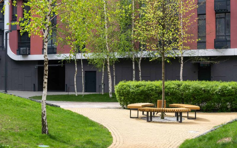Modern outdoor bench seating area with wooden benches arranged in a circle around a young tree, surrounded by well-maintained greenery in an urban residential complex.